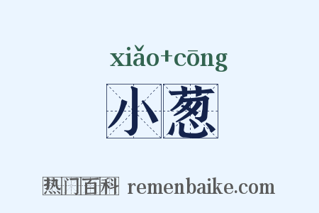 小葱是什么意思的图片
